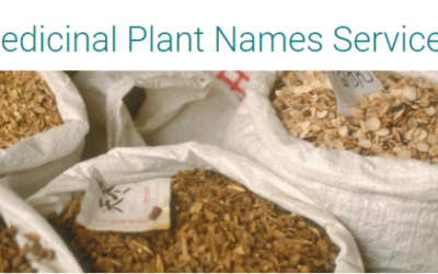 Medicinal Plant Names Services Update